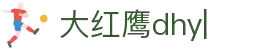 大红鹰dhy(中国)有限公司官网